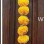 Marigold Cage Side Hangings Toran