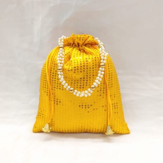 Sequins Work Potli with Inside Zip Pocket