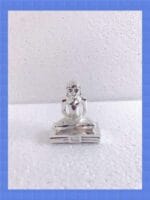 Mahavirji In Velvet Box - Image 2