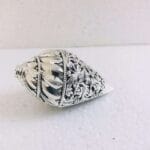 Shankh Comes In Velvet Box