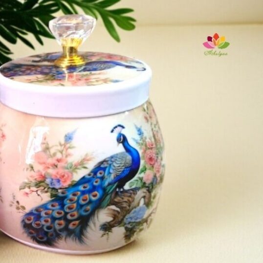 Peacock dry fruit box