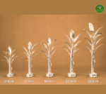 German Silver Banana tree Pair - Image 2